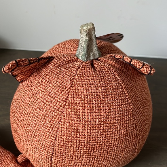 PUMPKIN FOX - Picture 6 of 7